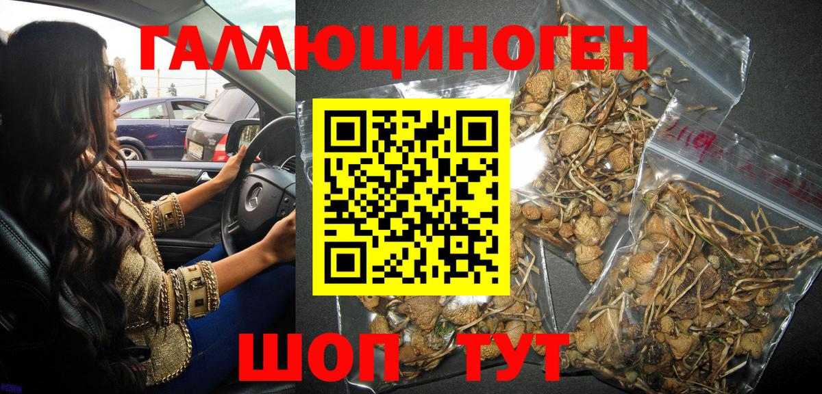 Галлюциногенные грибы MAGIC MUSHROOMS  Галлюциногенные грибы Cubensis  купить наркоту  Вход с VPN  Йошкар-Ола 