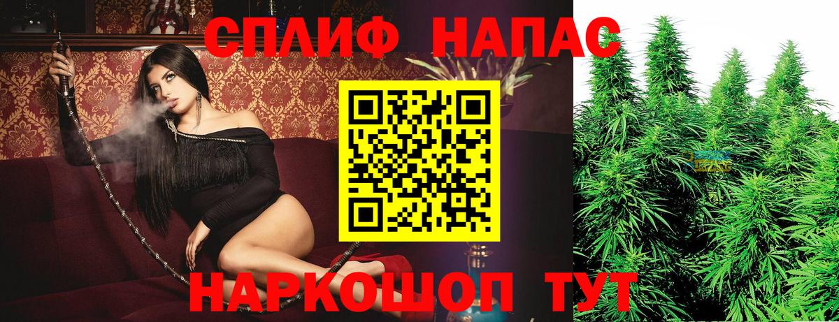 Каннабис индика Йошкар-Ола